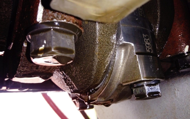 Примеры работ